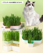 猫草プランター 猫草ポット 猫草ボックス ペット用品 猫用品 猫 ねこ ネコ 水耕栽培 容器 ケースのみ 鉢 室内 屋内 シンプル おしゃれ