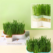 猫草プランター 猫草ポット 猫草ボックス ペット用品 猫用品 猫 ねこ ネコ 水耕栽培 容器 ケースのみ 鉢 室内 屋内 シンプル おしゃれ