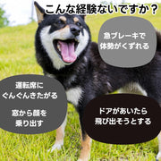 ペット用シートベルト 犬用 猫用 リード ベルト紐 ヘッドレスト取り付け 車用リード 長さ調節可 ペットグッズ ペット用品 ドライブ アウトドア 犬 猫 ドッグ キャット 牽引紐 リーシュ お出かけ 伸縮 固定用 フック バックル ナスカン 無地 シンプル カジュアル 単色 便利グッズ