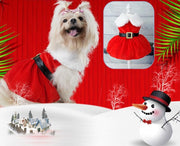コスチューム ペットウェア ワンピース コスプレ サンタクロース クリスマス サンタ服 衣装 仮装 ペット用 ペット服 ドッグウェア 犬服 小型犬 中型犬