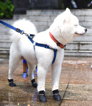 犬用 レインブーツ レインシューズ お散歩 お出掛け 防水 滑り止め 汚れ対策 シリコン マジック テープ レイングッズ 雨靴 ドッグ わんちゃん dog