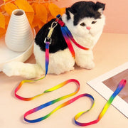 ハーネス リード 2点セット 犬用 猫用 小型犬 ペット用品 胴輪 散歩紐 牽引紐 平紐 迷彩 カラフル お散歩 おでかけ おしゃれ