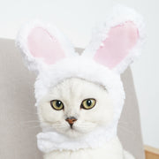 ペット用帽子 猫用帽子 かぶり物 猫 小型犬 ペット用品 ペットグッズ ウサギ ウサ耳 コスプレ 仮装 イベント ハロウィン パーティー 写真撮影 撮影会 犬 ネコ イヌ 被り物 頭巾 かわいい
