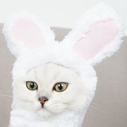 ペット用帽子 猫用帽子 かぶり物 猫 小型犬 ペット用品 ペットグッズ ウサギ ウサ耳 コスプレ 仮装 イベント ハロウィン パーティー 写真撮影 撮影会 犬 ネコ イヌ 被り物 頭巾 かわいい