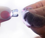 ペット用つめ切り LEDライト付き ニッパー 犬 ドッグ 猫 キャット 血管が見やすい 深爪防止 出血対策 ネイルケア 爪切り コンパクト 薄型 簡単 切りやすい ボタン電池式 小動物