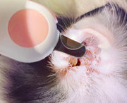 ペット用つめ切り LEDライト付き ニッパー 犬 ドッグ 猫 キャット 血管が見やすい 深爪防止 出血対策 ネイルケア 爪切り コンパクト 薄型 簡単 切りやすい ボタン電池式 小動物