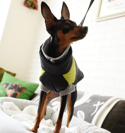 ペット服 ダウン風ベスト 犬 猫 小型犬 袖なし 商品画像2