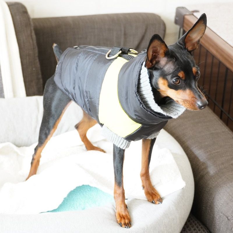 ペット服 ダウン風ベスト 犬 猫 小型犬 袖なし 商品画像3