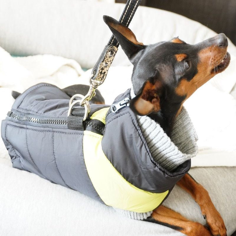 ペット服 ダウン風ベスト 犬 猫 小型犬 袖なし 商品画像4