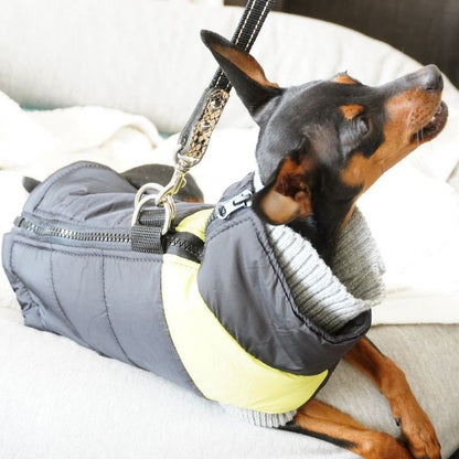 ペット服 ダウン風ベスト 犬 猫 小型犬 袖なし 商品画像4