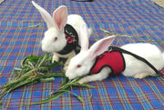 小動物用ハーネス リード 2点セット 兎用 ウサギ ペット用品 ペットグッズ 蝶々結び かわいい お散歩 お出かけ 記念写真 カラバリ豊富 インスタ映え
