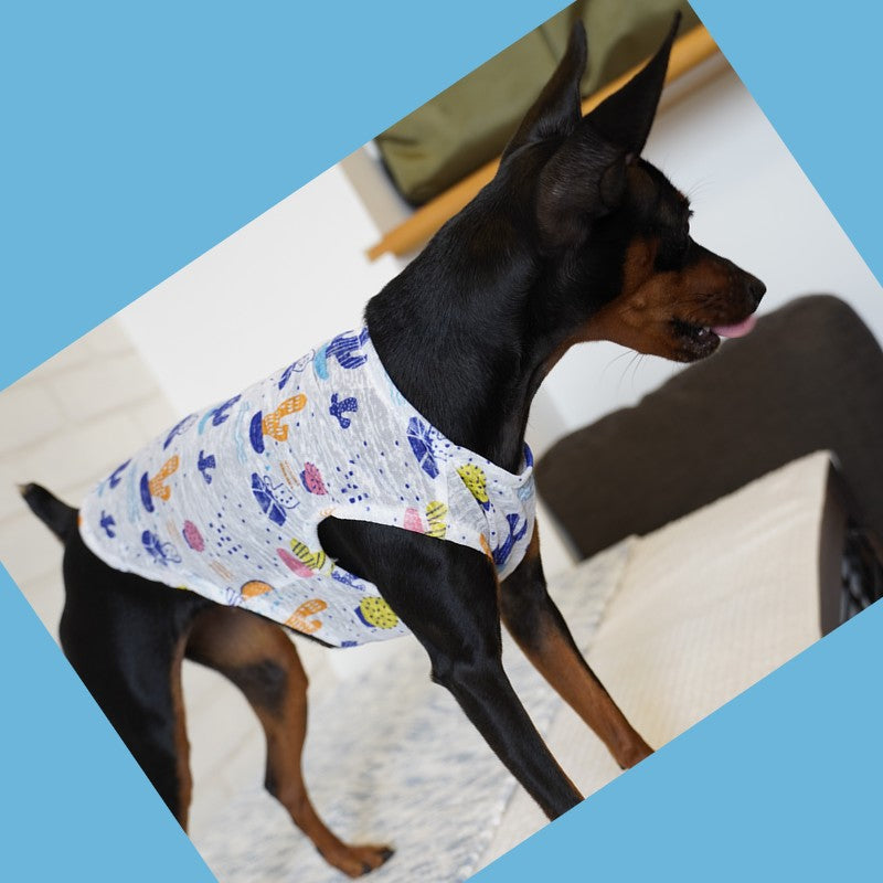 ドッグウェア キャットウェア ペットウェア 犬 犬服 犬の服 商品画像3
