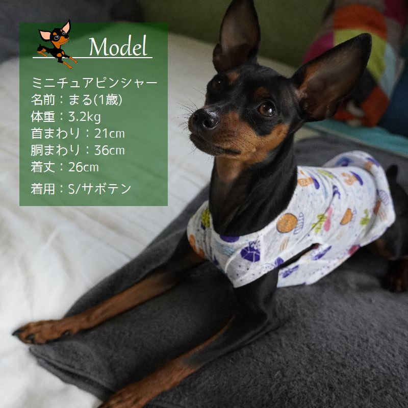 ドッグウェア キャットウェア ペットウェア 犬 犬服 犬の服 商品画像4