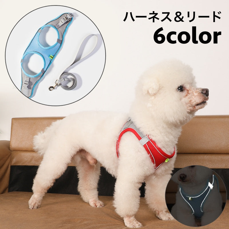 ハーネス リード 2点セット 犬用 猫用 ペット用 反射テープ 光る メッシュ 通気性 バックル Dカン 散歩紐 シンプル カジュアル お洒落 かわいい 可愛い 犬 猫 ペット用品 ペットグッズ 散歩 お出かけ 外出
