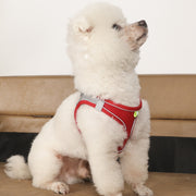 ハーネス リード 2点セット 犬用 猫用 ペット用 反射テープ 光る メッシュ 通気性 バックル Dカン 散歩紐 シンプル カジュアル お洒落 かわいい 可愛い 犬 猫 ペット用品 ペットグッズ 散歩 お出かけ 外出