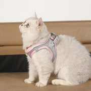 ハーネス リード 2点セット 犬用 猫用 ペット用 反射テープ 光る メッシュ 通気性 バックル Dカン 散歩紐 シンプル カジュアル お洒落 かわいい 可愛い 犬 猫 ペット用品 ペットグッズ 散歩 お出かけ 外出