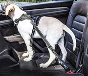 ペット用シートベルト 犬 猫 車専用リード ドライブ お出かけ 便利 簡単装着 飛び出し防止 いたずら防止 わんちゃん ねこちゃん ペットグッズ ペット用品