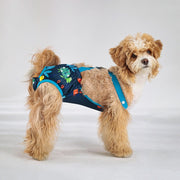 ペット用サニタリーパンツ ペット用生理パンツ マナーパンツ サスペンダー ペット用おむつカバー 小型犬 中型犬 犬 猫 イヌ ネコ ペット用品 ペットグッズ メッシュ ペットウェア トイレタリー用品 ずれにくい ウエストゴム かわいい カジュアル おしゃれ お散歩 室内