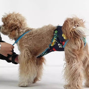 ペット用サニタリーパンツ ペット用生理パンツ マナーパンツ サスペンダー ペット用おむつカバー 小型犬 中型犬 犬 猫 イヌ ネコ ペット用品 ペットグッズ メッシュ ペットウェア トイレタリー用品 ずれにくい ウエストゴム かわいい カジュアル おしゃれ お散歩 室内