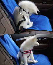 ペット用カーシートカバー ドライブシートカバー 車載 助手席 後部座席 犬 猫 汚れ防止 傷防止 お出かけ ドライブ 旅行 イヌ ネコ 黒 赤 青