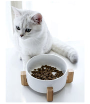 ネコ用食器 犬用食器 スタンド 2点セット ネコ用 ペット用品 猫用品 陶器 犬用品 フードボウル ペット皿 餌入れ 傾斜 シンプル かわいい おしゃれ 400ml