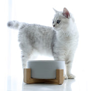 ネコ用食器 犬用食器 スタンド 2点セット ネコ用 ペット用品 猫用品 陶器 犬用品 フードボウル ペット皿 餌入れ 傾斜 シンプル かわいい おしゃれ 400ml