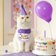 スタイ 帽子 2点セット ペット用 ペット 猫 ネコ 犬 イヌ 誕生日 バースデー よだれかけ コーンハット 三角帽子 パーティー かわいい