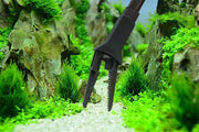 アクアリウムロングトング 水槽用トング 50cm 70cm 水草育成 水草ケア 水草レイアウト お手入れ 水槽掃除 流木 汚れ除去 掴む 挟む ピンセット