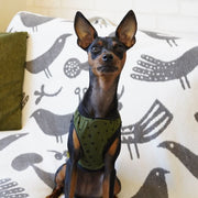ペット服 タンクトップ ドッグウエア キャットウエア ノースリーブ 星柄 スター 袖なし 犬 猫 小型犬 お散歩 お出掛け 春 夏 グリーン 緑 ペット用品 ペットグッズ 可愛い シンプル