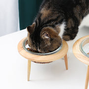 ペット用食器 フードボウル 猫用 犬用 ガラス製 ペット用品 エサ入れ 餌入れ 水入れ 600ML 丸形 脚付き 高さ調節 傾斜 木 ナチュラル おしゃれ ペットグッズ ねこ ネコ いぬ イヌ