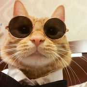 ペット用サングラス 丸メガネ 猫用 ネコ キャット 犬用 ドッグ カラーレンズ 眼鏡 アクセサリー ペットグッズ 仮装 コスプレ おもしろ かっこいい かわいい