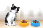 ペット用食器 フードボウル ウォーターボウル 犬用 猫用 餌入れ 水入れ エサ入れ容器 円形 ラウンド型 シンプル 可愛い ペット用品 ペットグッズ イヌ用 ネコ用