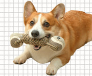 犬用おもちゃ ペット おもちゃ 遊び道具 テニスボール ペット玩具 犬  ボール かむおもちゃ ペット用品 運動不足解消 ストレス解消 犬用 いぬ用 イヌ用 ドッグ 動物 アニマル