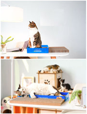 猫用爪とぎ 猫爪とぎ 猫用 猫グッズ ペット用品 ブルー グリーン ダンボール おしゃれ かわいい