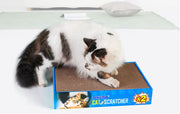 猫用爪とぎ 猫爪とぎ 猫用 猫グッズ ペット用品 ブルー グリーン ダンボール おしゃれ かわいい