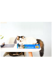 猫用爪とぎ 猫爪とぎ 猫用 猫グッズ ペット用品 ブルー グリーン ダンボール おしゃれ かわいい