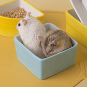 小動物用食器 フードボウル ハムスター ペット用品 ペットグッズ 餌入れ エサ入れ えさ皿 食器 陶器 置き型 丸形 三角形 四角形 無地 ホワイト 白 シンプル かわいい おしゃれ