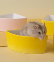 小動物用食器 フードボウル ハムスター ペット用品 ペットグッズ 餌入れ エサ入れ えさ皿 食器 陶器 置き型 丸形 三角形 四角形 無地 ホワイト 白 シンプル かわいい おしゃれ
