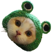ペット用帽子 手編み風 毛糸帽子 猫 犬 ウサギ 被り物 ニット帽 コスプレ ハロウィン おめかし フォト撮影 記念日 イベント 誕生日 カエル イチゴ ピンク ブルー キャット ドッグ ペットグッズ