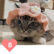 ペット用帽子 手編み風 毛糸帽子 猫 犬 ウサギ 被り物 ニット帽 コスプレ ハロウィン おめかし フォト撮影 記念日 イベント 誕生日 カエル イチゴ ピンク ブルー キャット ドッグ ペットグッズ