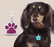 ペット用迷子札 名札 ネームタグ ネームチャーム 犬猫兼用 ドッグタグ キャットタグ 犬 猫 ペット用品 ペットグッズ 首輪アクセサリー 肉球型 迷子防止 ラメ かわいい キュート キラキラ おしゃれ カラバリ豊富 緑 金色 銀色 ローズ 赤 ピンク 青 黒
