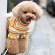 ペットウェア カットソー 犬服 猫服 犬用ウェア ドッグウェア 秋 冬 ボーダー柄 天使 羽 翼 可愛い おしゃれ お散歩 記念写真 インスタ映え ギフト プレゼント ワンちゃん ネコちゃん イヌ ネコ キャット ドッグ ピンク オレンジ グリーン ネイビー