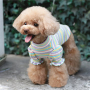 ペットウェア カットソー 犬服 猫服 犬用ウェア ドッグウェア 秋 冬 ボーダー柄 天使 羽 翼 可愛い おしゃれ お散歩 記念写真 インスタ映え ギフト プレゼント ワンちゃん ネコちゃん イヌ ネコ キャット ドッグ ピンク オレンジ グリーン ネイビー