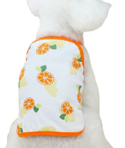 ペットウェア キャミソール ドッグ 犬服 フルーツ アボカド オレンジ スイカ レモン イチゴ 春 夏 ドッグウェア かわいい おしゃれ 小型犬 中型犬 猫 カジュアル お散歩 お出かけ ギフト プレゼント 贈り物 XS S M L XL 2XL