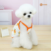 ペットウェア キャミソール ドッグ 犬服 フルーツ アボカド オレンジ スイカ レモン イチゴ 春 夏 ドッグウェア かわいい おしゃれ 小型犬 中型犬 猫 カジュアル お散歩 お出かけ ギフト プレゼント 贈り物 XS S M L XL 2XL