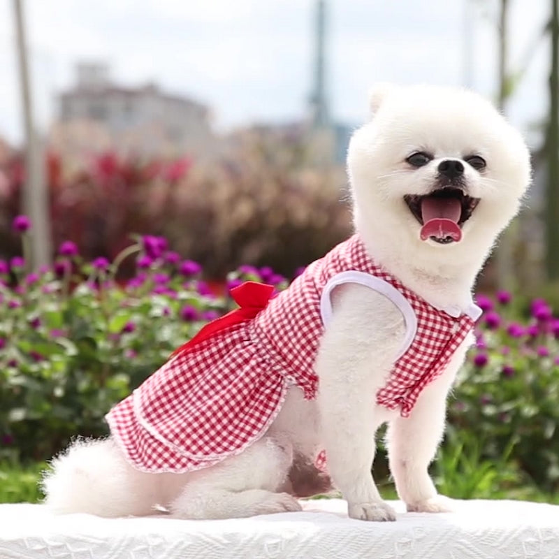 ペットウェア ワンピース 犬服 猫服 ドッグ キャット 商品画像4