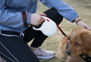 伸縮リード用ストラップ ペット用品 お散歩グッズ リードストラップ 犬用 イヌ マジック テープ フリーハンドストラップ 便利 サイズ調節可能 巻き取りリード用 散歩