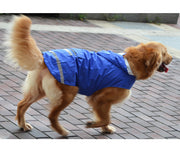 ドッグウェア レインコート カッパ 犬の服 雨具 パーカー フード 反射テープ 大型犬 中型犬 ブルー レッド イエロー ペット用品 お出掛け 雨の日 防水 お散歩 3XL 4XL 5XL