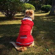 ドッグウェア レインコート カッパ 犬の服 雨具 パーカー フード 反射テープ 大型犬 中型犬 ブルー レッド イエロー ペット用品 お出掛け 雨の日 防水 お散歩 3XL 4XL 5XL