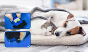 自動給水器 ペット用 犬用 猫用 水飲み 四角 スクエア ペットグッズ ペット用品 飲料水 2L 便利 シンプル LEDライト 熱中症対策 ネコ イヌ